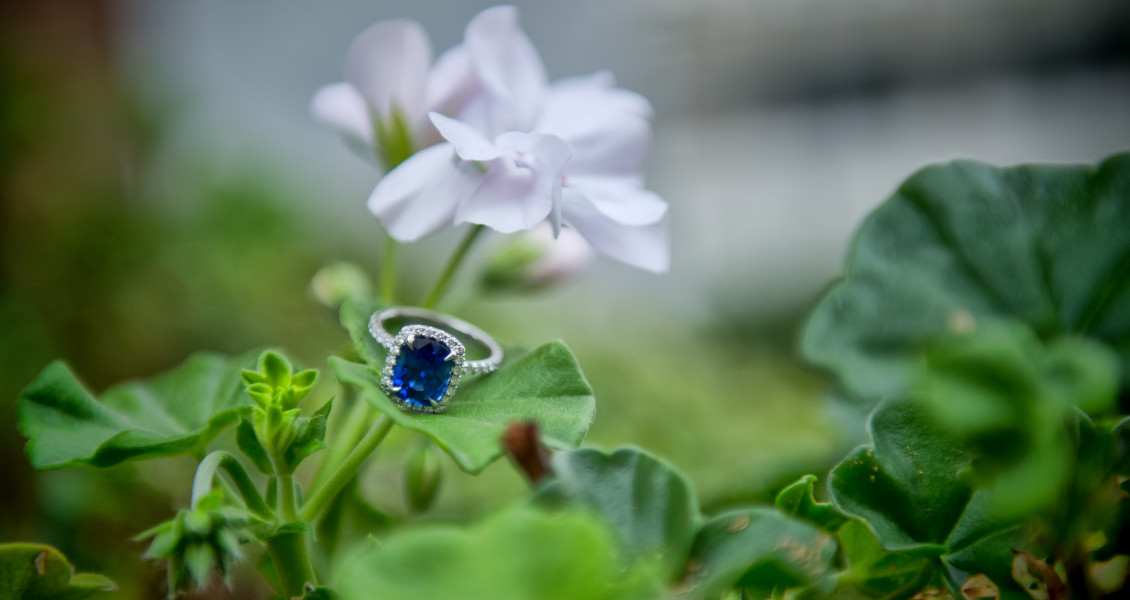 Proposta di matrimonio, il giardino segreto con vista sul Canal Grande