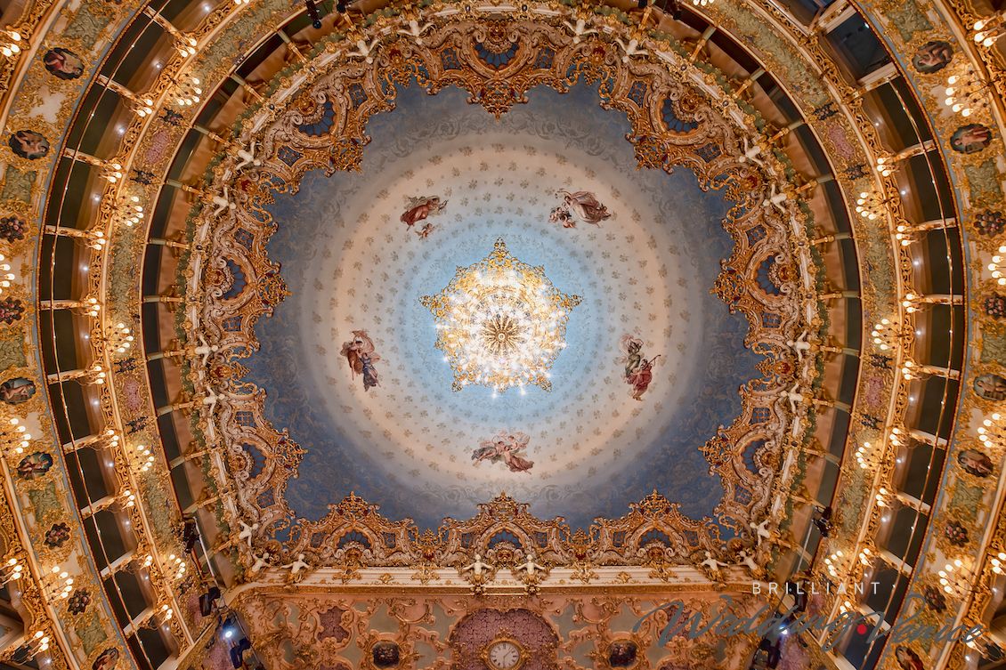 001 evento privato teatro la fenice