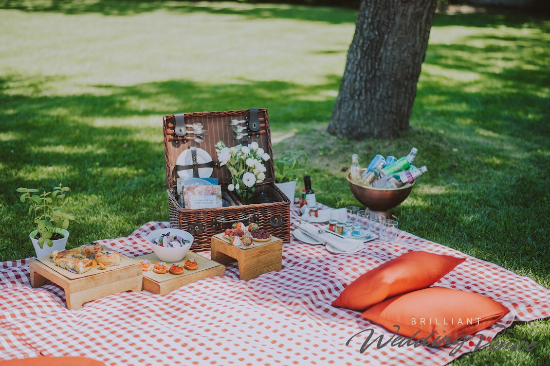 000b Romantica proposta di matrimonio durante un picnic a Venezia